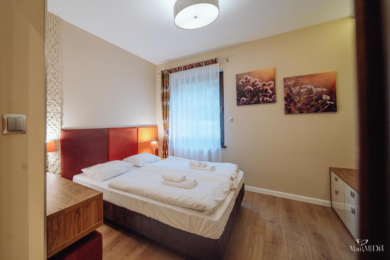Dolina Wikingow Apartament Oye 09 Szklarska Poreba Luaran gambar