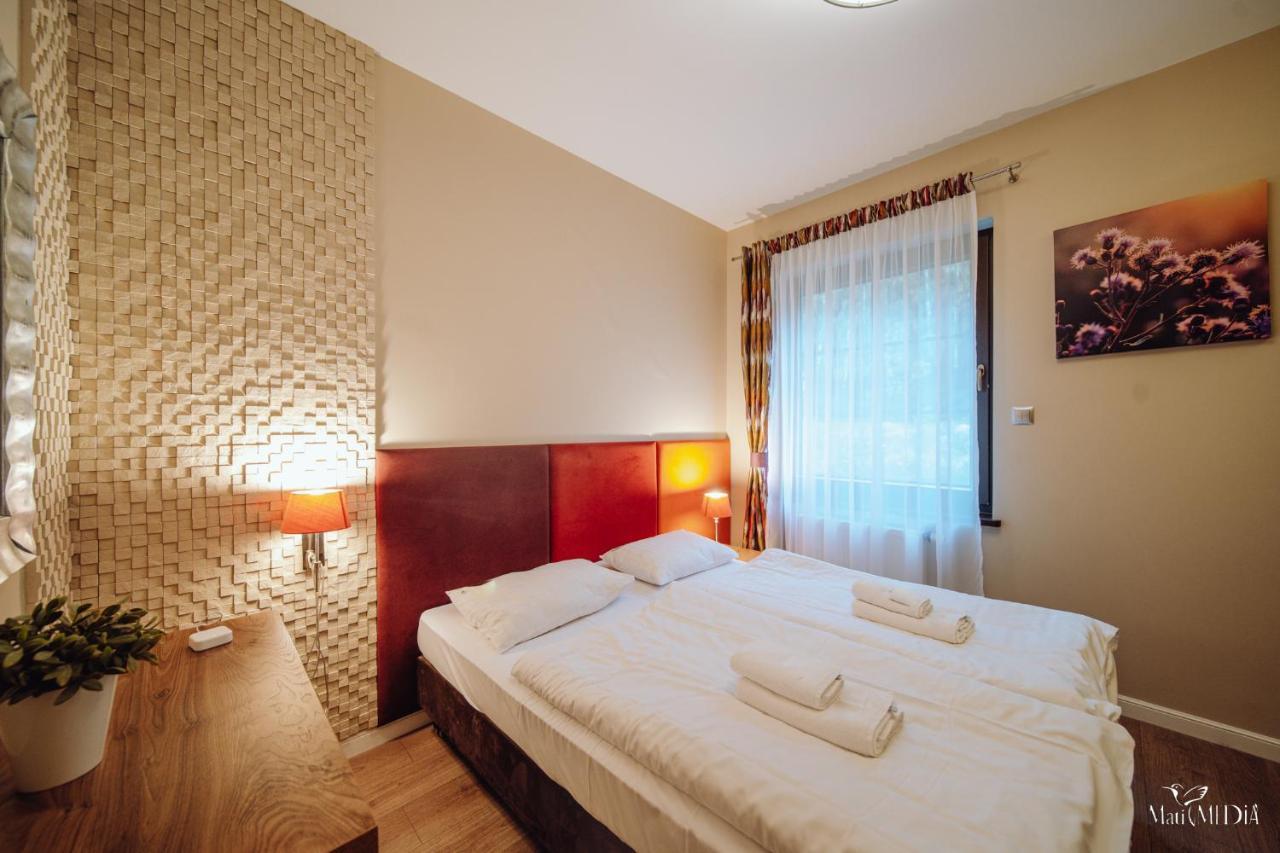 Dolina Wikingow Apartament Oye 09 Szklarska Poreba Luaran gambar